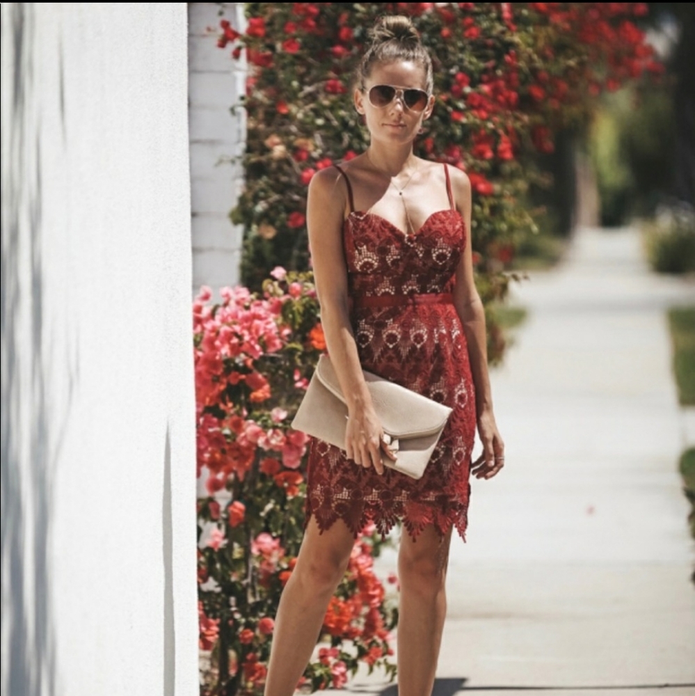 Vinyard lace vici dress
